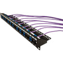 Vertical Cable 1U 24 Port Keystone Patch Panel with Cable Manager - Black