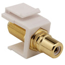 Construct Pro F-81 To RCA Keystone Insert - White