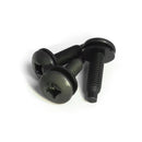 Hammond M6 Quadrex (Phillips and Robertson Combo) Head with Starter Tip Screw 50-pack